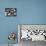 Mexican Farm Workers Singing in their Bunkhouse-null-Photographic Print displayed on a wall