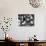 Mexican Farm Workers Singing in their Bunkhouse-null-Photographic Print displayed on a wall