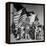 Mexican Farm Workers Waving American and Mexican Flags-J^ R^ Eyerman-Framed Premier Image Canvas