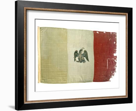 Mexican Flag from Statehouse in Victoria; National Museum of American History: Mexican Revolution-null-Framed Photographic Print