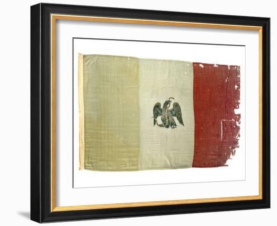 Mexican Flag from Statehouse in Victoria; National Museum of American History: Mexican Revolution-null-Framed Photographic Print