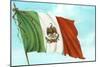 Mexican Flag-null-Mounted Art Print