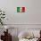 Mexican Flag-daboost-Framed Stretched Canvas displayed on a wall