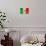 Mexican Flag-daboost-Art Print displayed on a wall