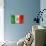 Mexican Flag-daboost-Art Print displayed on a wall