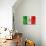 Mexican Flag-daboost-Art Print displayed on a wall