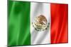 Mexican Flag-daboost-Mounted Art Print
