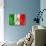 Mexican Flag-daboost-Art Print displayed on a wall