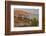 Mexican giant cardon cactus with Elephant Rock beyond, Mexico-Claudio Contreras-Framed Photographic Print