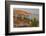 Mexican giant cardon cactus with Elephant Rock beyond, Mexico-Claudio Contreras-Framed Photographic Print