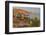 Mexican giant cardon cactus with Elephant Rock beyond, Mexico-Claudio Contreras-Framed Photographic Print