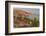 Mexican giant cardon cactus with Elephant Rock beyond, Mexico-Claudio Contreras-Framed Photographic Print