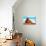 Mexican Hat-Douglas Taylor-Photographic Print displayed on a wall