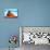 Mexican Hat-Douglas Taylor-Mounted Photographic Print displayed on a wall