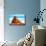 Mexican Hat-Douglas Taylor-Mounted Photographic Print displayed on a wall