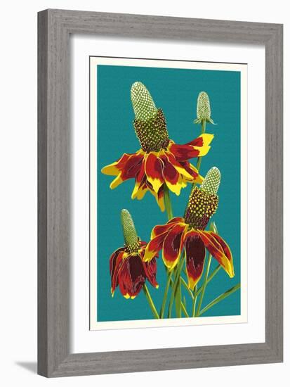 Mexican Hat-Lantern Press-Framed Art Print