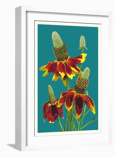 Mexican Hat-Lantern Press-Framed Art Print