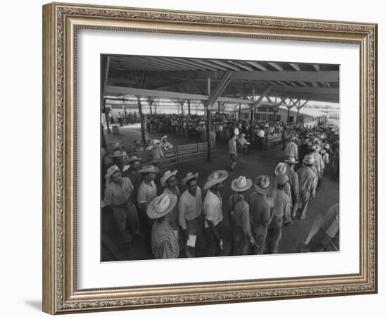 Mexican Migrant Farm Workers Lined Up for Work Interviews and to Sign Job Contracts-null-Framed Photographic Print