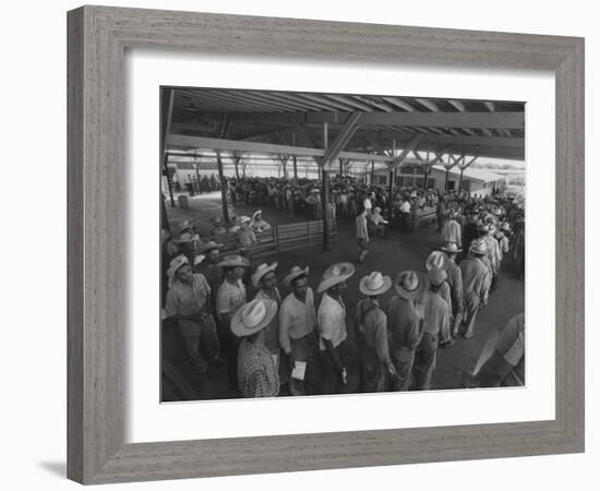 Mexican Migrant Farm Workers Lined Up for Work Interviews and to Sign Job Contracts-null-Framed Photographic Print