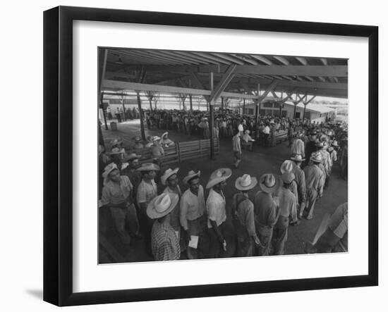 Mexican Migrant Farm Workers Lined Up for Work Interviews and to Sign Job Contracts-null-Framed Photographic Print