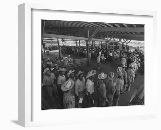 Mexican Migrant Farm Workers Lined Up for Work Interviews and to Sign Job Contracts-null-Framed Photographic Print