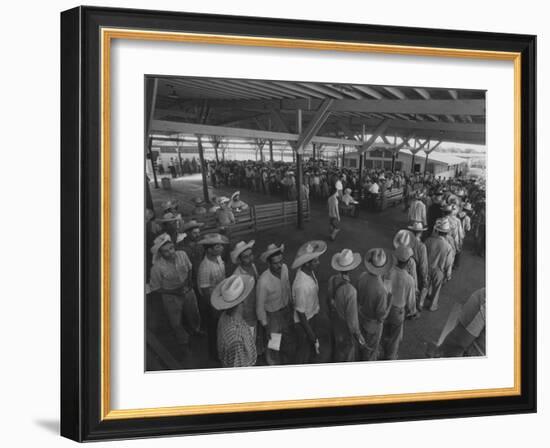 Mexican Migrant Farm Workers Lined Up for Work Interviews and to Sign Job Contracts-null-Framed Photographic Print