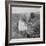 Mexican migrant woman harvesting tomatoes in California, 1938-Dorothea Lange-Framed Photographic Print