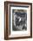 Mexican News-Alfred Jones-Framed Giclee Print