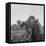 Mexican picking melons in California, 1937-Dorothea Lange-Framed Premier Image Canvas