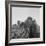 Mexican picking melons in California, 1937-Dorothea Lange-Framed Photographic Print