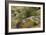 Mexican Poppies, narrow-Leaf Yucca and Other Chihuahuan Desert Plants in Rockhound State Park, NM-null-Framed Photographic Print