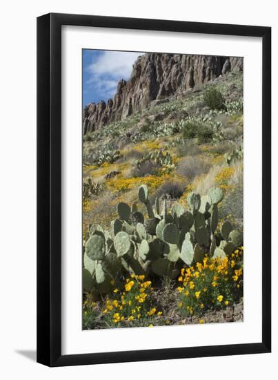 Mexican Poppies, Prickly-Pear and Other Chihuahuan Desert Plants in Rockhound State Park, NM-null-Framed Photographic Print