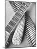 Mexican Revolution, Guitar, Corn and Ammunition Belt, Mexico City, 1927-Tina Modotti-Mounted Giclee Print