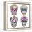 Mexican Skull Set. Colorful Skulls With Flower And Heart Ornamens. Sugar Skulls-cherry blossom girl-Framed Stretched Canvas