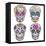 Mexican Skull Set. Colorful Skulls With Flower And Heart Ornamens. Sugar Skulls-cherry blossom girl-Framed Stretched Canvas