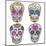 Mexican Skull Set. Colorful Skulls With Flower And Heart Ornamens. Sugar Skulls-cherry blossom girl-Mounted Art Print