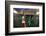 Mexican Soccer Player-Beto Chagas-Framed Photographic Print