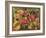 Mexican Village Scene-Mexican School-Framed Giclee Print