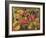 Mexican Village Scene-Mexican School-Framed Giclee Print