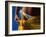 Mexican Woman with Swimwear-Mitch Diamond-Framed Photographic Print