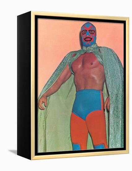 Mexican Wrestler with Thunderbird Motif-null-Framed Stretched Canvas