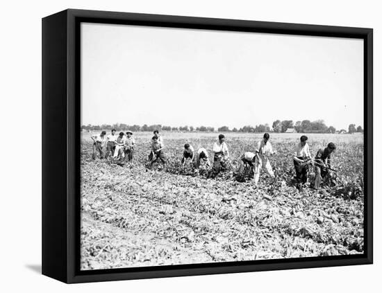 Mexican Youths-null-Framed Premier Image Canvas