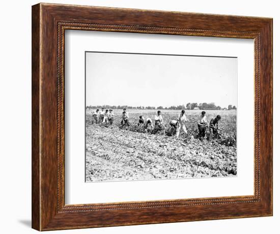 Mexican Youths-null-Framed Photographic Print