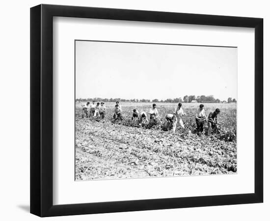 Mexican Youths-null-Framed Photographic Print