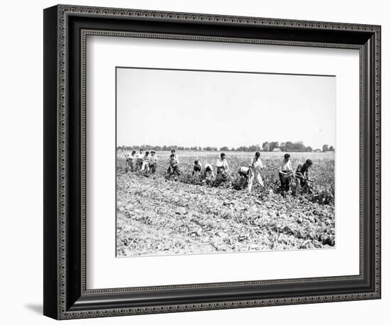 Mexican Youths-null-Framed Photographic Print