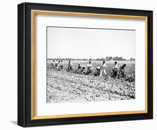 Mexican Youths-null-Framed Photographic Print