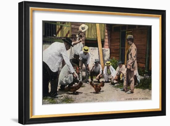 Mexico - A Cock Fight Scene-Lantern Press-Framed Art Print