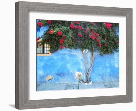 Mexico, Ajijic. Bougainvillea against wall.-Jaynes Gallery-Framed Photographic Print