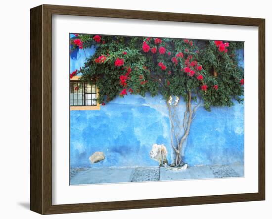 Mexico, Ajijic. Bougainvillea against wall.-Jaynes Gallery-Framed Photographic Print