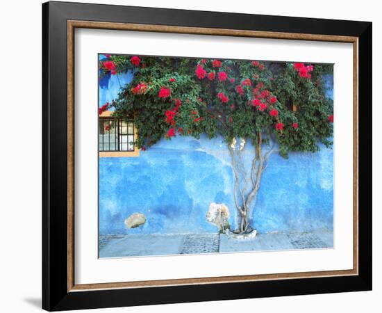 Mexico, Ajijic. Bougainvillea against wall.-Jaynes Gallery-Framed Photographic Print